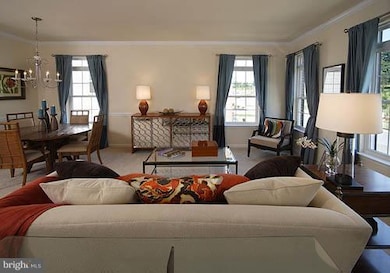 23202 Scholl Manor Way unit 1313, Clarksburg, MD 20871 - photo 7