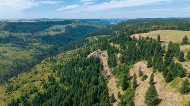 1605 Jasmine Ln Parcels 16 & 17, Weippe, ID 83553 - photo 5