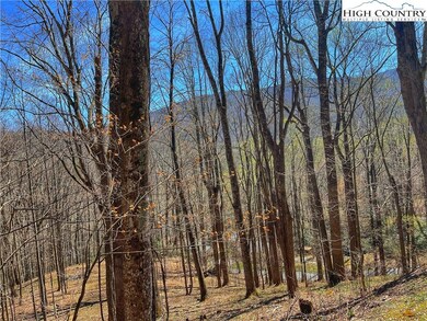 TBD Grandfather Farms Rd, Banner Elk, NC 28604 - photo 4