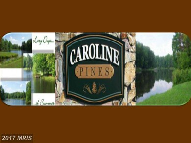 26350 Shannon Mill Dr, Ruther Glen, VA 22546 - photo 3