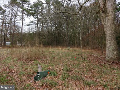 42 Mt Joy Rd and Rolling Rd, Millsboro, DE 19966 - photo 2
