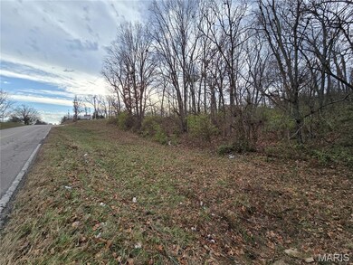 0 Crescent Lake Rd unit MIS25079528, Saint Clair, MO 63077 - photo 5