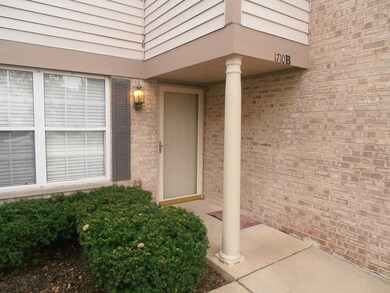 1710 Autumn Ave unit B, Schaumburg, IL 60193 - photo 4