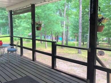 9093 S Lost Pine Ave, Baldwin, MI 49304 - photo 5