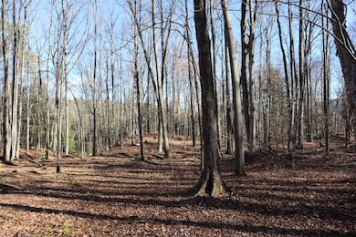 423 Hadley Rd, Stony Creek, NY 12878 - photo 3