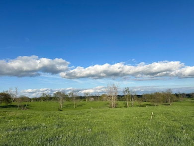 3489 Cynthiana Rd, Georgetown, KY 40324 - photo 6