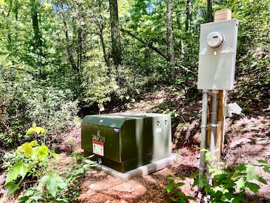 1272 Peach Orchard Way, Del Rio, TN 37727 - photo 4