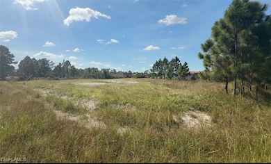 View of local wilderness with a rural view