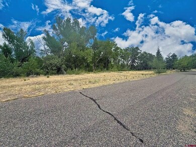 0 Highway 160, South Fork, CO 81154 - photo 4