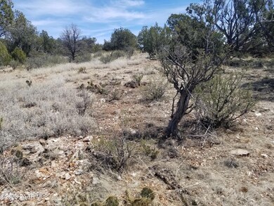 269a Off Cone Rd, Ash Fork, AZ 86320 - photo 5