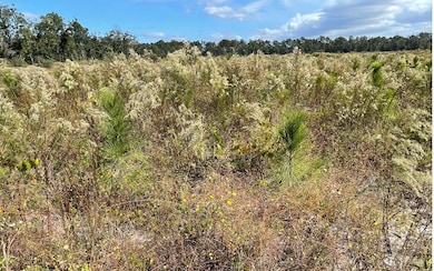 TBD Hawaca Dr, McAlpin, FL 32062 - photo 5