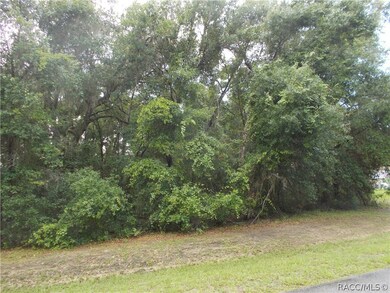 3378 N Chandler Dr, Hernando, FL 34442 - photo 3