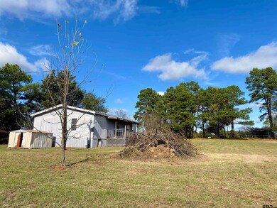 5706 Farm To Market Road 69, Quitman, TX 75783 - photo 4