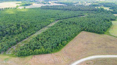 DJI_20240629154528_0069_D-HDR