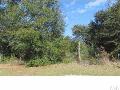 View of wooded lot