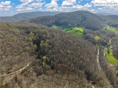 TBD Cobbs Creek Rd, Meat Camp, NC 28607 - photo 3