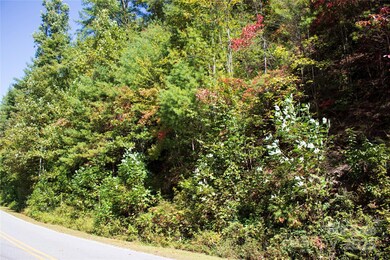 TBD Frozen Creek None unit 34, Brevard, NC 28712 - photo 2