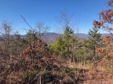 33 Dobsons Knob Loop Rd unit 33, North Cove, NC 28752 - photo 3