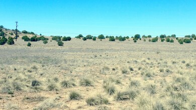 0 W Prescott Ranch Rd unit 1019858, Paulden, AZ 86334 - photo 7