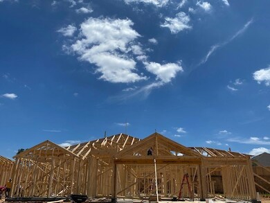 Construction is underway!