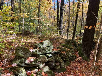 95 Highbridge Rd, Lyme, NH 03768 - photo 4