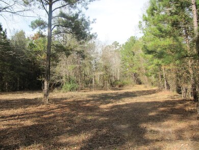 778 Hortons Hollow Rd, Lufkin, TX 75904 - photo 4