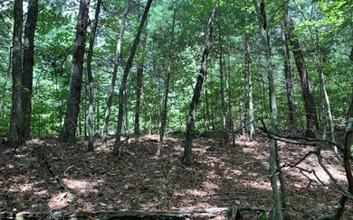 LT 10 Dover Highlands Trail, Ellijay, GA 30540 - photo 6