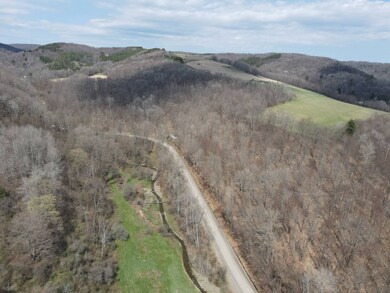 VL Avery Hollow Rd, Cohocton, NY 14826 - photo 2