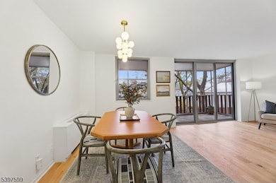 Bellaire House Condominiums unit 2G, Montclair, NJ 07043 - photo 6