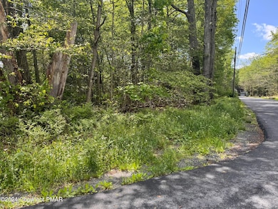 2159 Birchwood Blvd, Pocono Summit, PA 18346 - photo 2