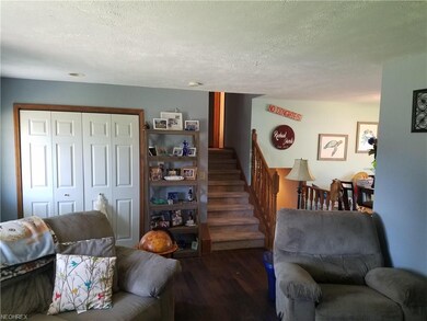 816 Alameda Ave, Sheffield Lake, OH 44054 - photo 5