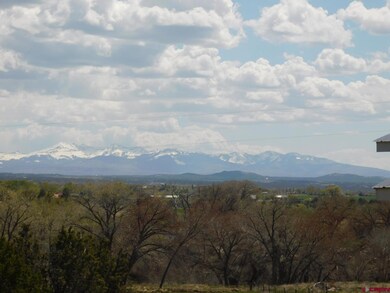 12807 Road 25, Cortez, CO 81321 - photo 3