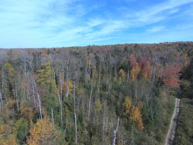 0 Thomas Rd unit 32.1 5052957, Lunenburg, VT 05906 - photo 3