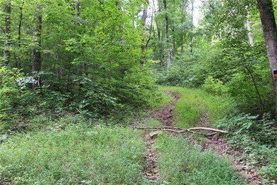 0 Freeman Fielder Rd, Stewart, TN 37175 - photo 6