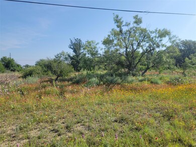 TBD County Road 551, Lake Brownwood, TX 76801 - photo 3