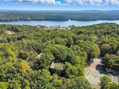Drone / aerial view of a forest and a large body of water