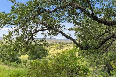 428 Summit Spring Ln unit 22, Johnson City, TX 78636 - photo 3