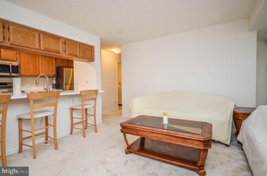 14103 Fall Acre Ct unit 721, Silver Spring, MD 20906 - photo 3