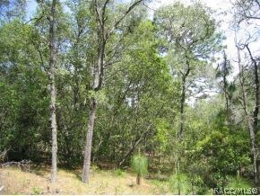 Interior of Acreage