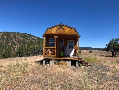 0 Belshaw Rd unit 220150479, Mount Vernon, OR 97865 - photo 3