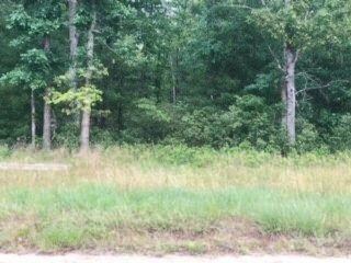 V/L James Rd, Baldwin, MI 49304 - photo 2