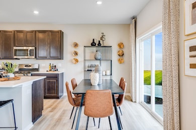 18501 Percy Ln, Lowell, IN 46356 - photo 6