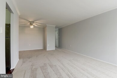 5756 Village Green Dr unit G, Alexandria, VA 22309 - photo 7