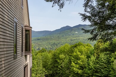 910 Brook Rd unit 1, Stowe, VT 05672 - photo 6