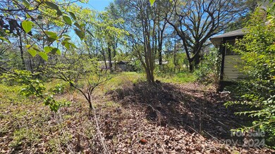 1117 S Meeting St, Statesville, NC 28677 - photo 5