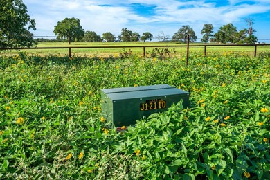 449 Luke Hayes Way unit 4, Fredericksburg, TX 78624 - photo 4
