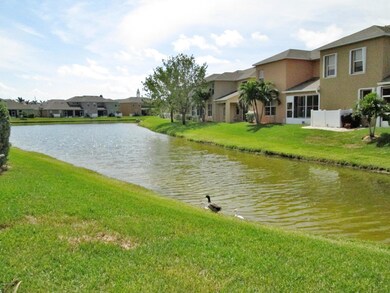 Lake Views