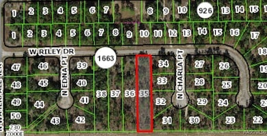 1142 W Riley Dr, Citrus Springs, FL 34434 - photo 2