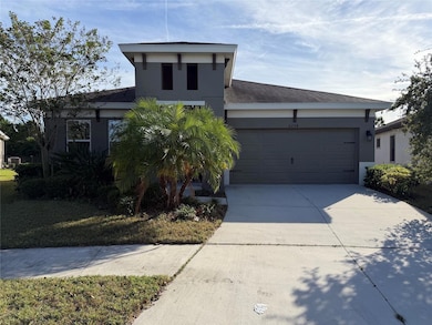 6204 Colmar Place, Apollo Beach, FL 33572 - photo 2