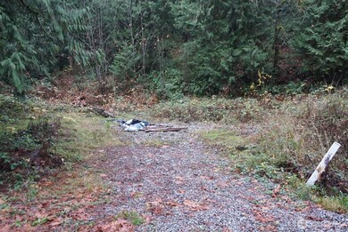 4703 Ames Lake Carnation Rd NE, Redmond, WA 98053 - photo 2